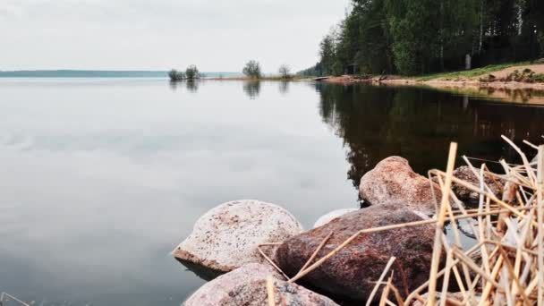 Naturskön utsikt över en sjö i en skog med lugnt vatten en mulen dag. 4k-bilder — Stockvideo