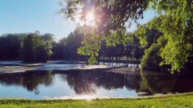Yaz gününde Sunset 'te, halk parkında gölet. Yaz Parkı.