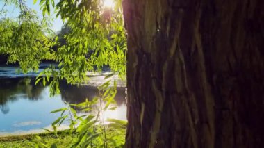 Yaz gününde Sunset 'te, halk parkında gölet. Yaz Parkı.