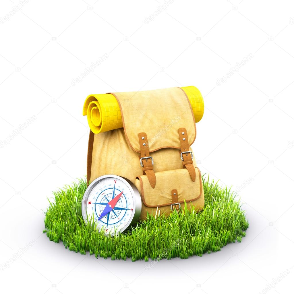 Backpack on grass