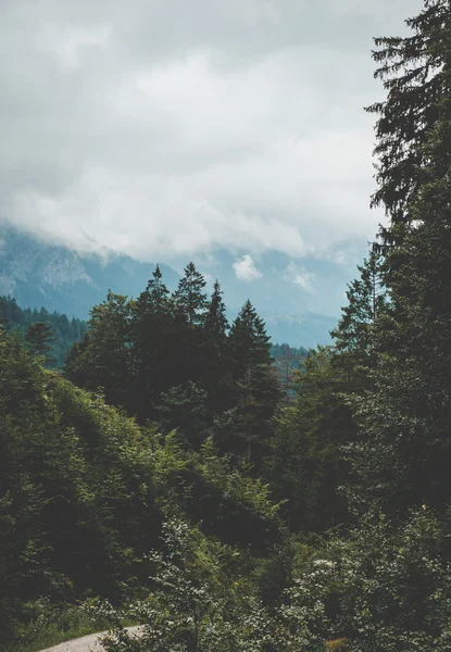 Österreichische Alpen — Stockfoto