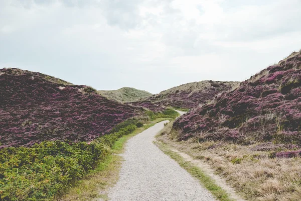 Weg zwischen den Hügeln — Stockfoto