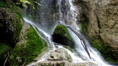 Ormanda bir şelale