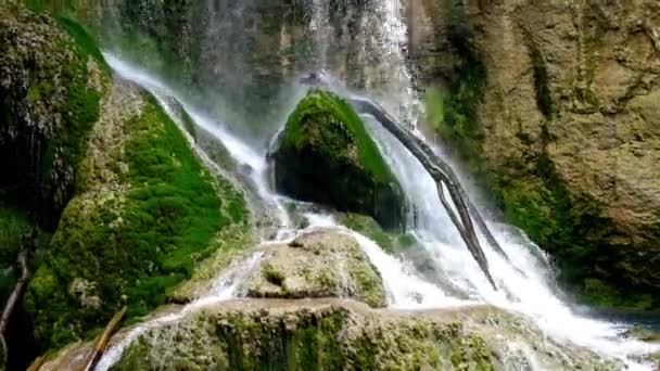 Cascada en un bosque — Vídeos de Stock