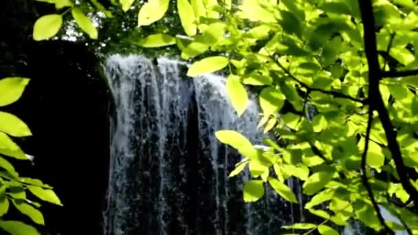 Cachoeira em uma floresta — Vídeo de Stock