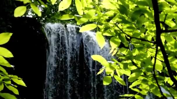 Cascada en un bosque — Vídeo de stock