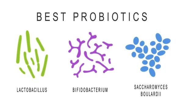 Набор пробиотиков, полезных бактерий для здоровья и красоты человека. Хорошие микроорганизмы под микрокопом изолированы на белом фоне. Векторная иллюстрация — стоковый вектор