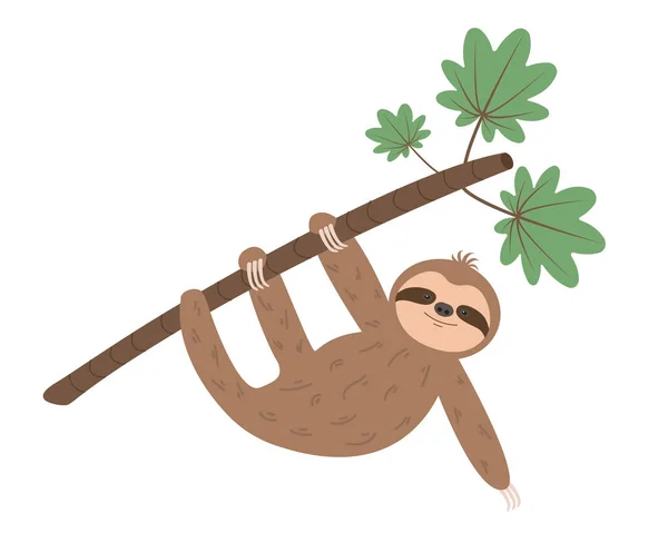 Un perezoso colgando de una rama de árbol. Personaje animal de dibujos animados. Ilustración vectorial — Vector de stock