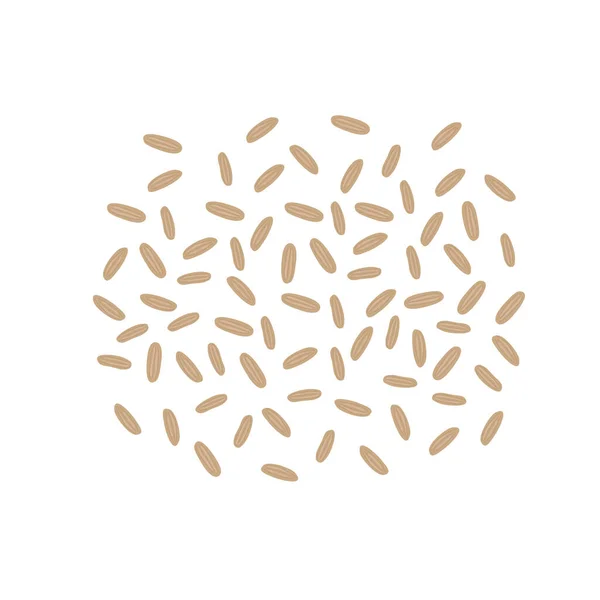 Semillas de arroz integral aisladas sobre fondo blanco. Arroz integral. Comida saludable. Ilustración vectorial — Vector de stock