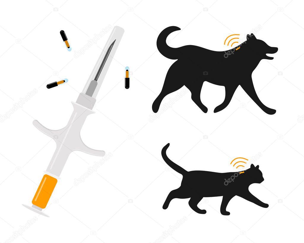 Pets microchipping concept. Syringe with microchips, dog and cat silhouettes with implants and RFID signals. Animals permanent identification. Vector flat illustration