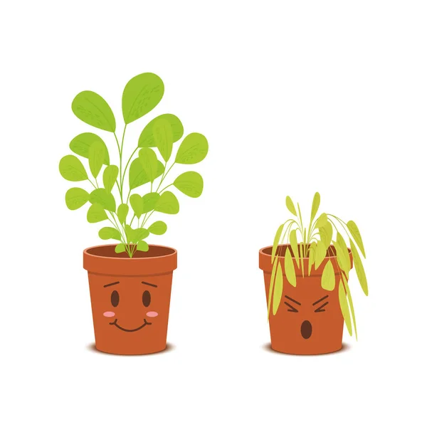 Cute plants in pots characters. Happy blossom vs sad wilted flowers isolated on white background. Vector cartoon illustration in childish style — Stock Vector