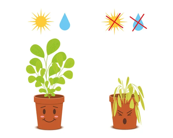 Cute potted plants characters with watering and sunlight symbols. Happy blossom vs sad wilted flowers isolated on white background. Vector cartoon illustration in childish style — Archivo Imágenes Vectoriales