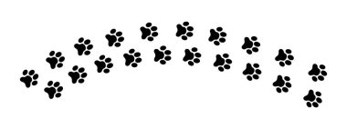 Islak ya da çamurlu köpek ya da kedi patileri. Evcil hayvan pençesi yere basar ya da kar yağar. Beyaz arka planda izole edilmiş koşan ya da yürüyen vahşi hayvanların ayak izleri. Vektör grafik illüstrasyonu.