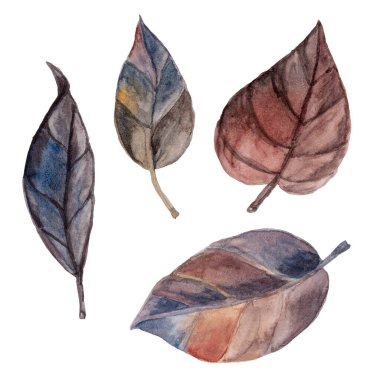 Suluboya el, kurumuş sonbahar yapraklarıyla Cadılar Bayramı illüstrasyonunu çizdi. Menü ya da kartpostal için süsleme ve Cadılar Bayramı için afiş. Cadılar Bayramı uçan simgesi beyaz arkaplanda izole