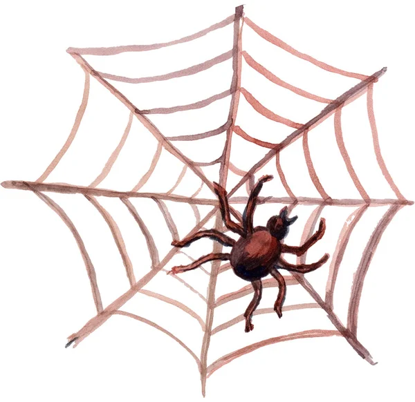 Acuarela Dibujada Mano Ilustración Halloween Con Araña Web Decoración Para —  Fotos de Stock