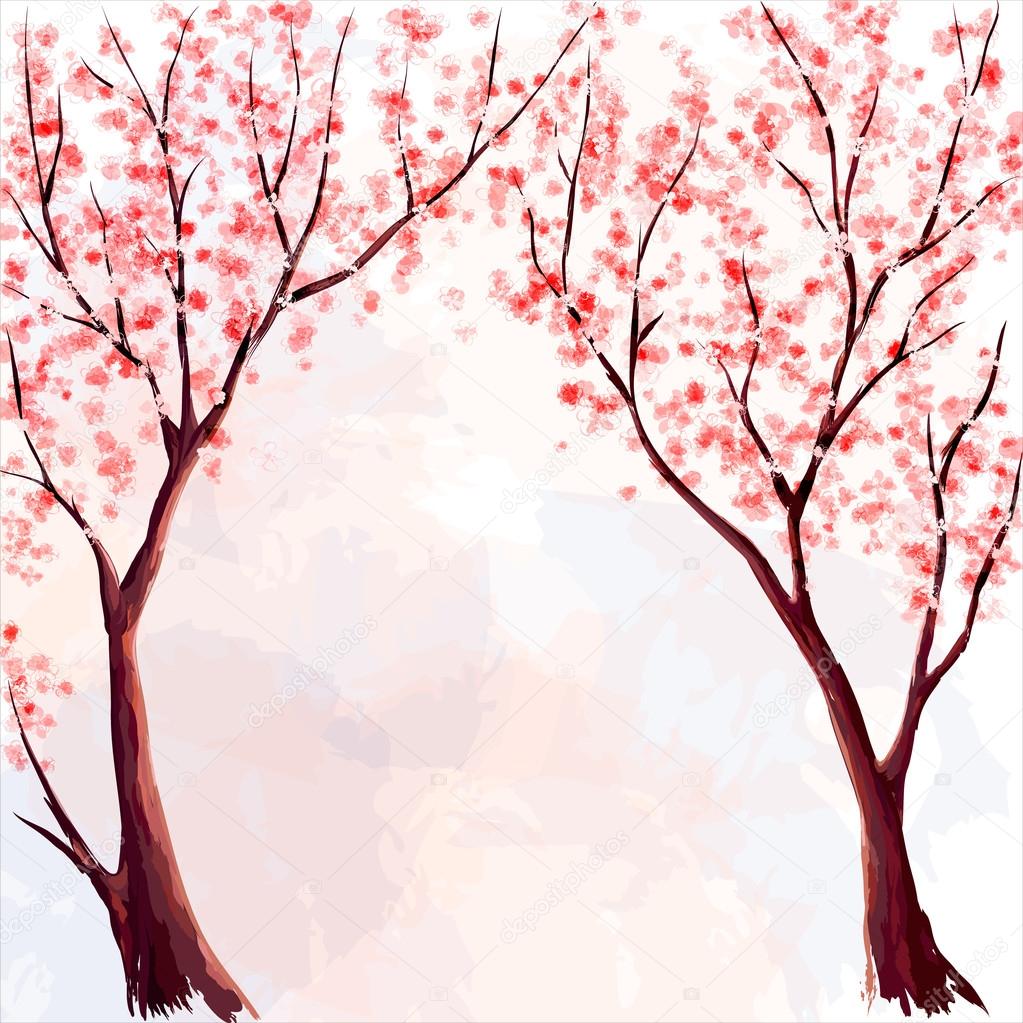 Cherry blossom. Watercolor illustration