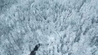 Nehirli beyaz kış ormanı