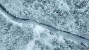 Kış ormanı ve donmuş nehir