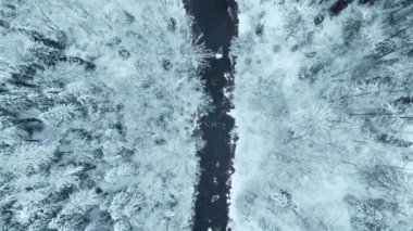 Kış ormanının en tepedeki karanlık nehri