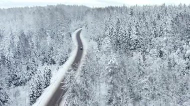 Beyaz ormandaki hava manzaralı kış yolu, araba sürmek.