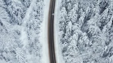 Kış karlı ormanlarda yola bakan hava manzaralı.