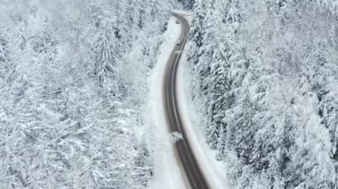 Araba kış ormanlarında yolda gidiyor.