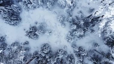 Üst manzara karla kaplı orman