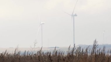 Güneşli bir günde elektrik üreten rüzgar türbinleri