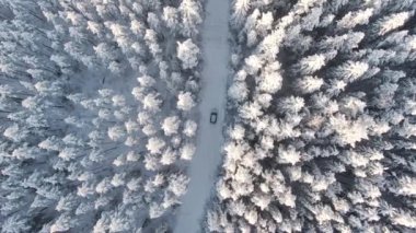 Hava manzarası, yoldaki karlı bir ormanda duran bir araba.