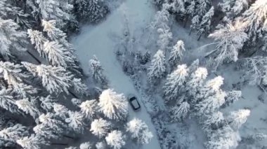 Karlı bir ormanda, açık bir yolda beyaz bir araba sürüyor.