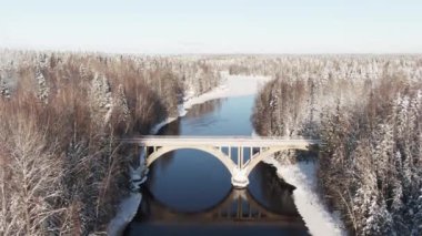 Kara nehrin üzerindeki eski beton köprü kış ormanında