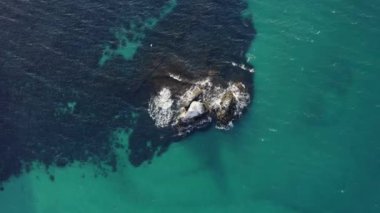 Dalgalar denizde taşları, havadan üst görüntüyü, statik görüntüyü, güneşli bir günde temiz suyu yıkar. beyaz martı çekimde
