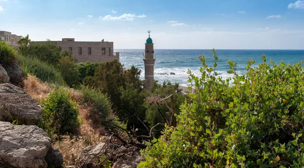 Minaret Mešity Bahr Modrého Středozemního Moře Starém Městě Jaffa Izrael — Stock fotografie