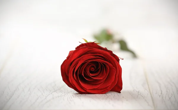 在一个木制的背景上一朵红玫瑰。情人节背景 — 图库照片
