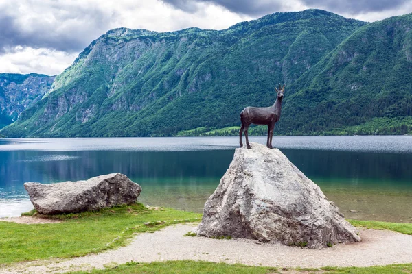 Lago bohinj — Fotografia de Stock