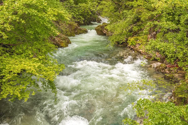 Vintgar canyon — Stockfoto