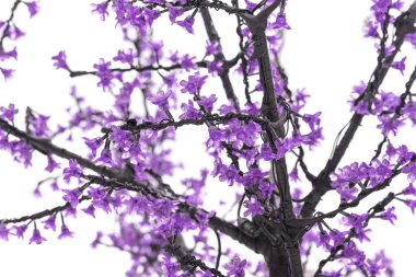 Mor çiçekli yapay çiçek açması ağacının dalları
