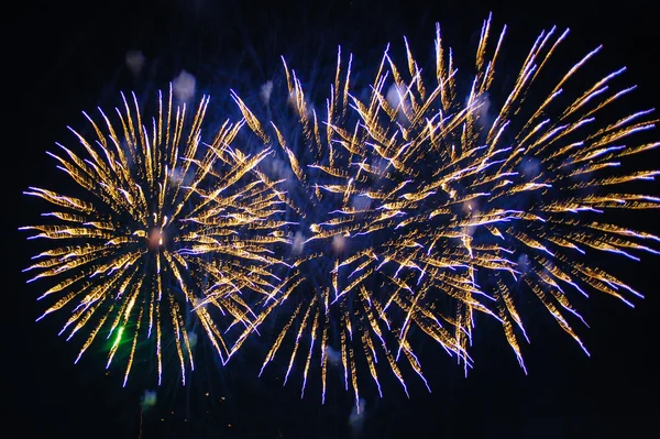 Fuegos artificiales de colores sobre el cielo oscuro Fotos de stock libres de derechos