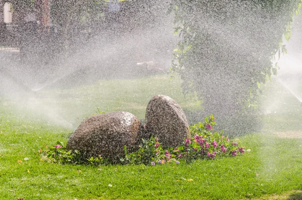 Automatisk strö växter i trädgården — Stockfoto