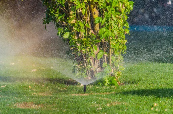 Automatische Streuung von Pflanzen im Garten — Stockfoto