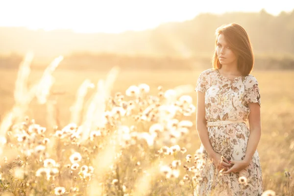 Linda jovem morena — Fotografia de Stock