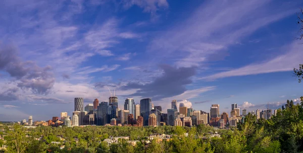 Calgary skyline, a Bow folyó völgyében — Stock Fotó