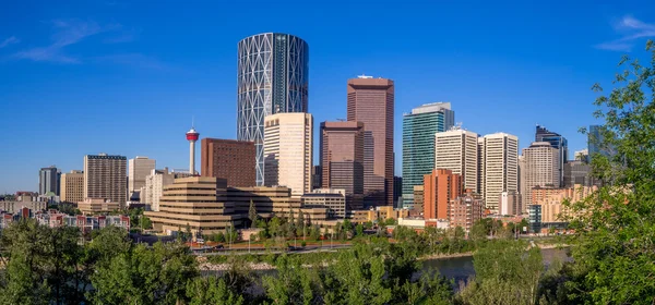 Calgary skyline along the bow river — Stock Photo, Image