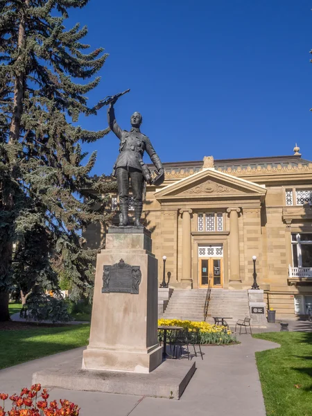 Memorial Halk Kütüphanesi — Stok fotoğraf