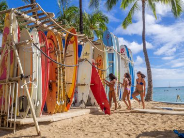  Sörf Kiralama Dükkanı Waikiki Beach