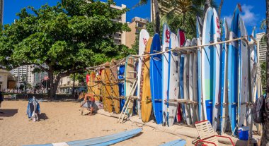 Sörf Kiralama Dükkanı Waikiki Beach