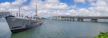  Pearl Harbor denizaltı USS kel balık 