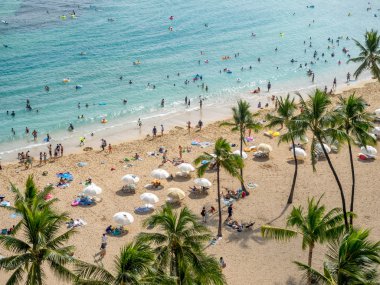Ünlü Waikiki Beach 