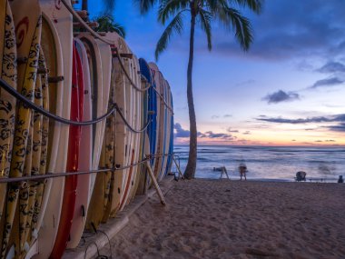 Honolulu, Amerika Birleşik Devletleri - Ağustos 8: Sörf kiralama dükkanı Waikiki Beach gece 8 Ağustos 2016 üzerinde Honolulu, ABD. Waikiki beach Honolulu, en iyi bilinen beyaz kum ve sörf için yer.