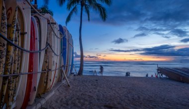 Honolulu, Amerika Birleşik Devletleri - Ağustos 8: Sörf kiralama dükkanı Waikiki Beach gece 8 Ağustos 2016 üzerinde Honolulu, ABD. Waikiki beach Honolulu, en iyi bilinen beyaz kum ve sörf için yer.